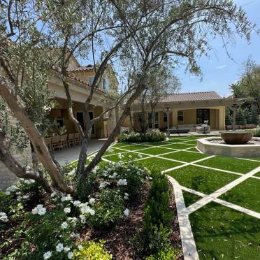 Backyard Landscape with Turf and Olive Trees