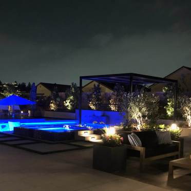 Backyard LED Lighting and Landscape