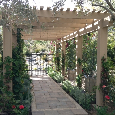 Pergolas and Arbors