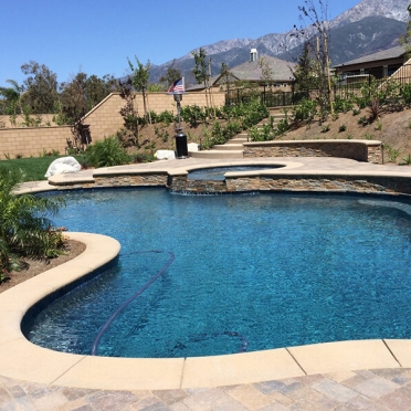 Traditional Freeform Swimming Pool